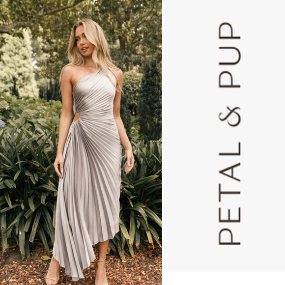 NWT Silver Petal and Pup Kleo one shoulder pleated maxi dress size XS - Picture 1 of 8